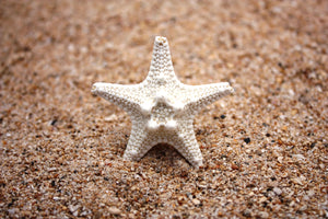 Hoku'ao Starfish Ring