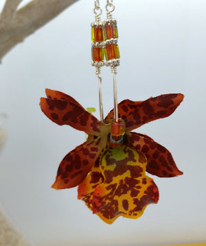Nohealani Orchid Earrings