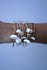 products/il_fullxfull.434979938_ab34.jpg